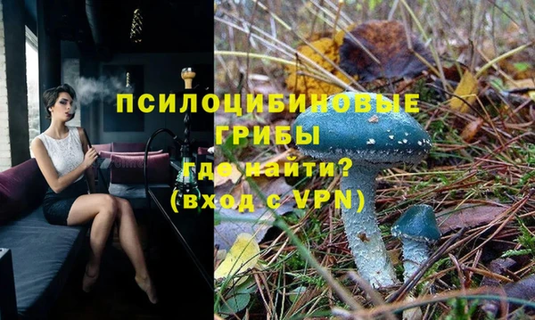твердый Козловка