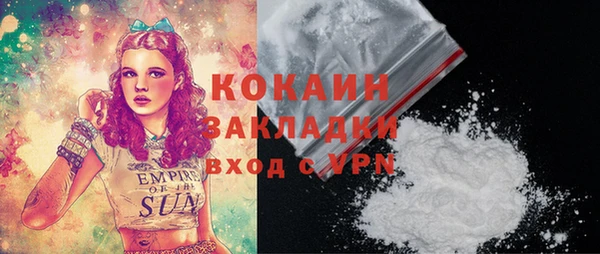 твердый Козловка