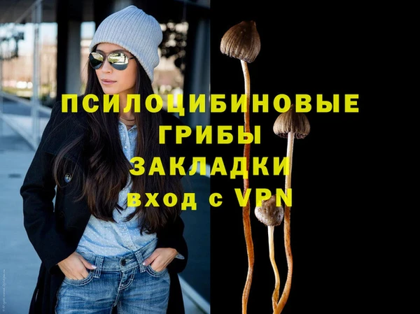 ГАЛЛЮЦИНОГЕННЫЕ ГРИБЫ Козельск