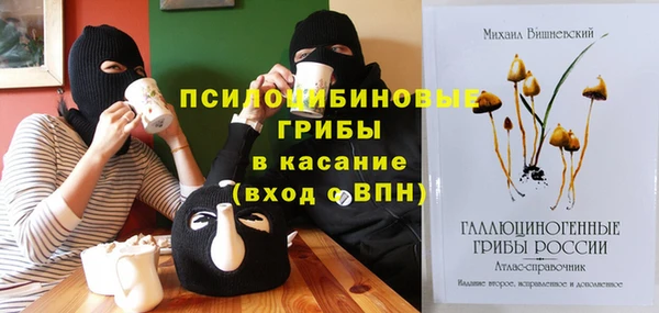 прущие крисы Коряжма