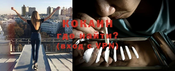твердый Козловка