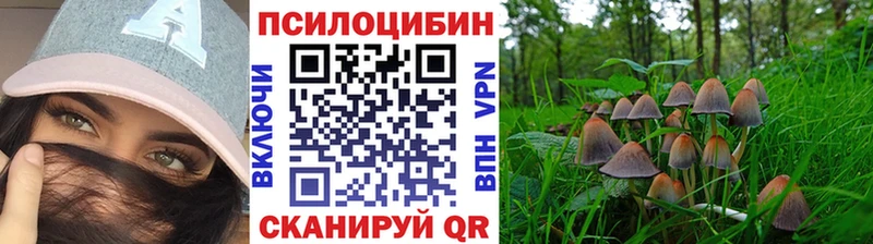 даркнет формула  Полесск  Псилоцибиновые грибы Psilocybe 